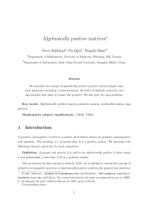 Algebraically positive matrices - Server