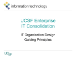 Functional IT Organization