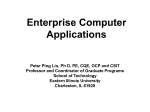 Enterprise Computer Applications Peter Ping Liu, Ph D, PE