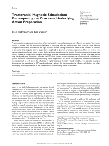 Transcranial Magnetic Stimulation: Decomposing the
