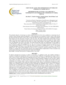 35 crop yields along the toposequence of terraced andosols in