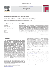 Neuroanatomical correlates of intelligence