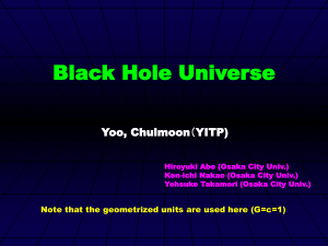 Black Hole Universe