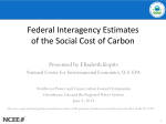 The Social Cost of Carbon for Regulatory Impact Analyses