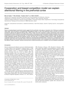 Cooperation and biased competition model can explain attentional