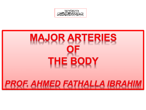 2-Major arteries of the body