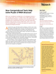 New Computational Tools Help Solve Puzzle of RNA Structure
