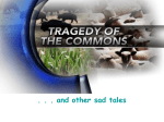 The Tragedy of the Commons - Appoquinimink High School