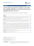 Let-7d suppresses growth, metastasis, and tumor macrophage