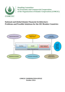National and Global Islamic Financial Architecture: Problems and