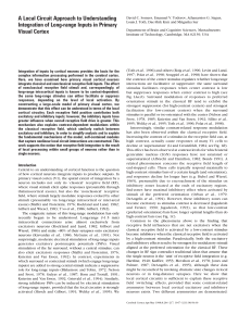 A local circuit approach to understanding integration of