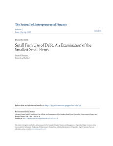 Small Firm Use of Debt: An Examination of the Smallest Small Firms