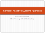 Complex Adaptive Systems Approach