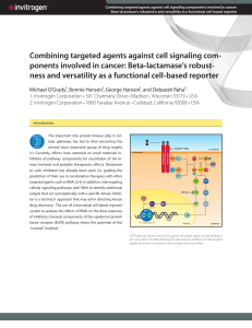 O-13928 DD Combining Targeted Agents Poster Handouts 2nd