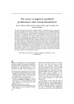 The onset of pigment epithelial proliferation after retinal