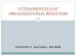 fundamentals of organizational behavior