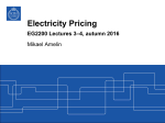 EG2200 Electricity pricing.fm