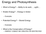 the reactions of photosynthesis that are directly dependent upon
