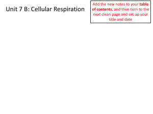 Cellular Respiration - Kawameeh Middle School