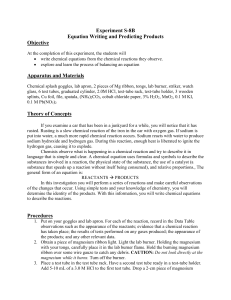 Expt 8B Equation Writing and Products