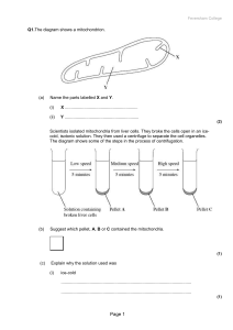 RespirationQuestions.doc - KS3, GCSE and A