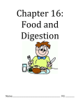 Chapter 15: Bones, Muscle, Skin Chapter 16: Food and Digestion