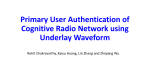 Primary User Authentication of Cognitive Radio Network using