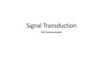 Signal Transduction