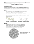 Four common polysaccharides found in nature are starch