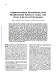 Angiotensin-Induced Desensitization of the Phosphoinositide