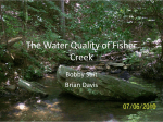 The Water Quality of Fisher Creek