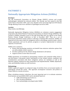 Nationally Appropriate Mitigation Actions (NAMAs)