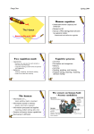 The Human Human cognition Two cognition mode Cognitive