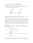 LDH Kinetics