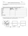 Cell Structure and Function Review Exercise