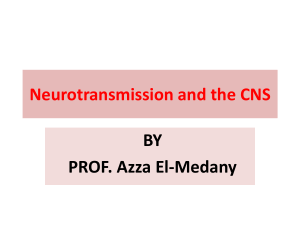 Neurotransmission in the CNS