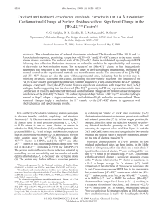 Oxidized and Reduced Azotobacter Vinelandii