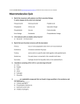 Macromolecules Quiz 1