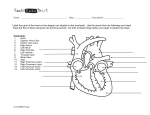 Label the parts of the heart on the diagram (as labeled on the