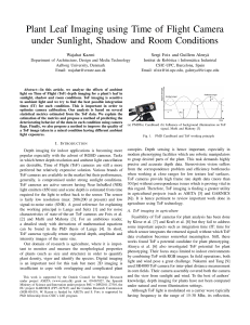 Plant Leaf Imaging using Time of Flight Camera under Sunlight