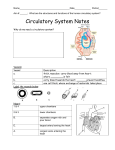 Circulatory System Notes - Manhasset Public Schools