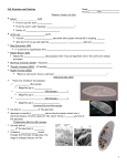 Cell Structure and Function Name