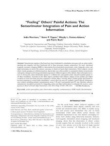 Feeling others` painful actions: The sensorimotor