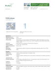 PDCD8 Antibody