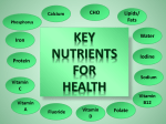 key nutrients for health File