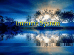 第九章 免疫系统