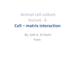 Animal cell culture lecture -3