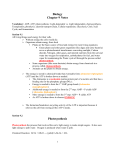 Biology-Chapter-9-notes-revised-2013