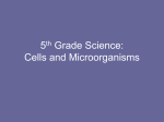 Cells and Microorganisms Study Guide 2