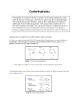 Carbohydrates - HCC Learning Web